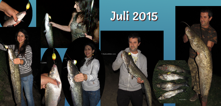 Fische gefangen im Juli 2015 mit den Realwobbler 