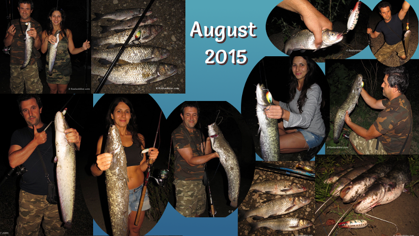 Fishing Results in August 2015 using the Realwobbler Lures