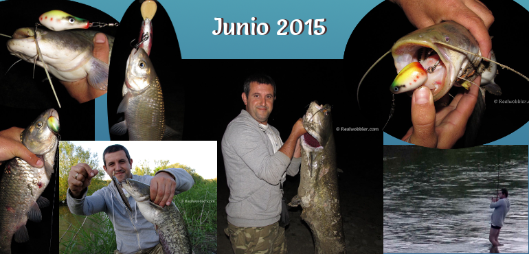 Peces capturados en Junio 2015 con señuelos Realwobbler