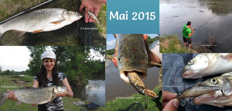 Fische gefangen im Mai 2015 mit Realwobbler