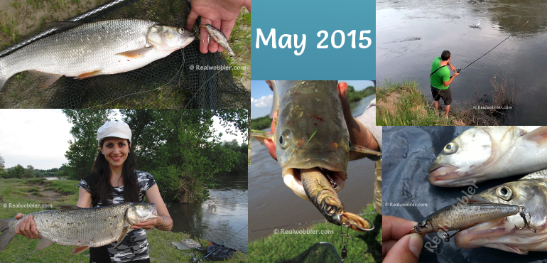 Catches in May 2015