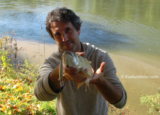 Asp on Handmade Retro Silver Crankbait