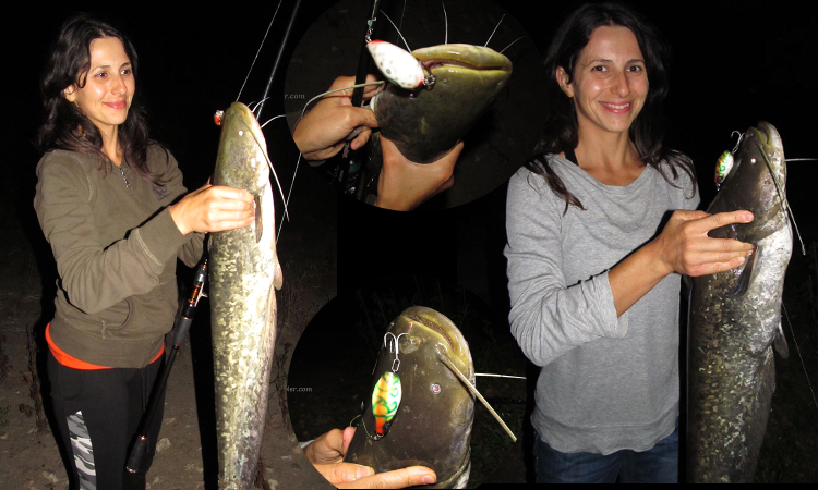 Wels Catfish on Topwater Belly Lure