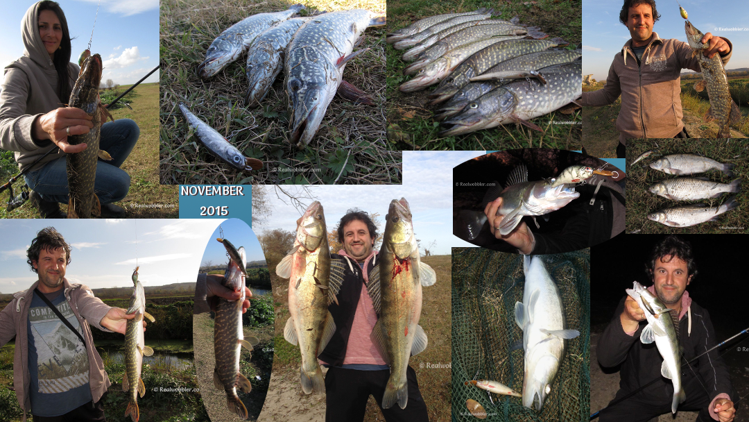 Fishing Results from November 2015 with Realwobbler Custom Lures