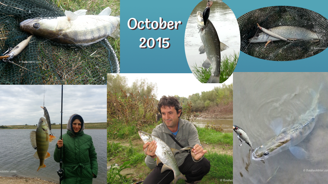 Fishing Results from November 2015 with October with the Custom Lures Realwobbler