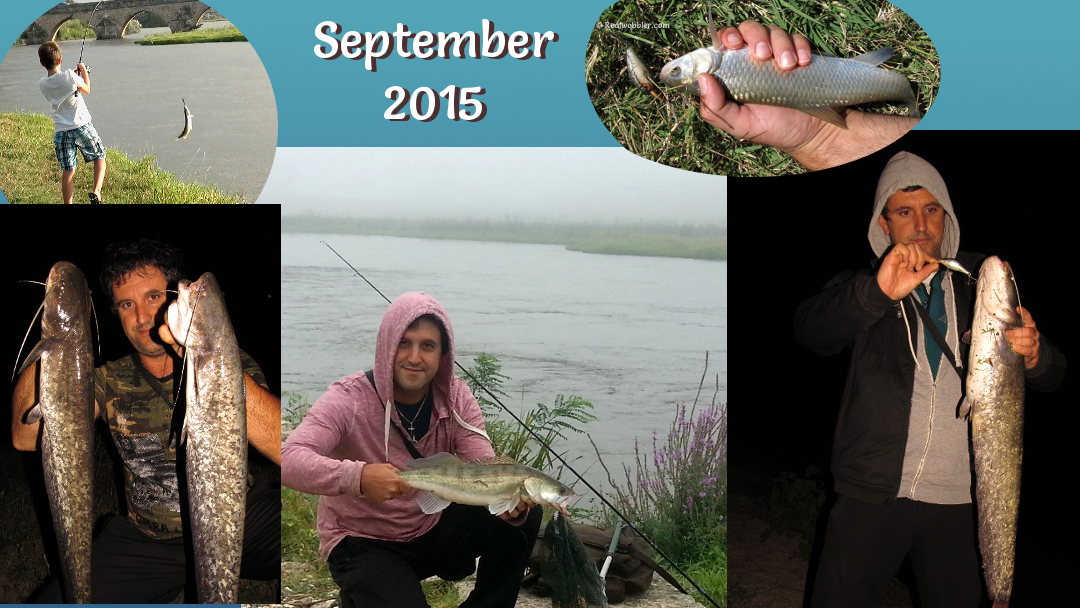 Catches in September 2015 with Realwobbler Skin Lures