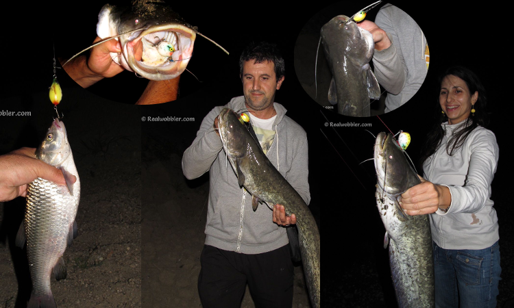 Catfish and Chub caught on Realwobbler topwater Belly Lure Mini