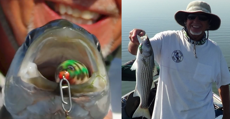 Striped Bass on Topwater Belly Lure