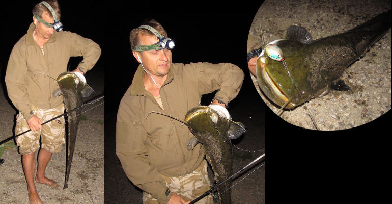 Catfish on a Topwater Belly Lure