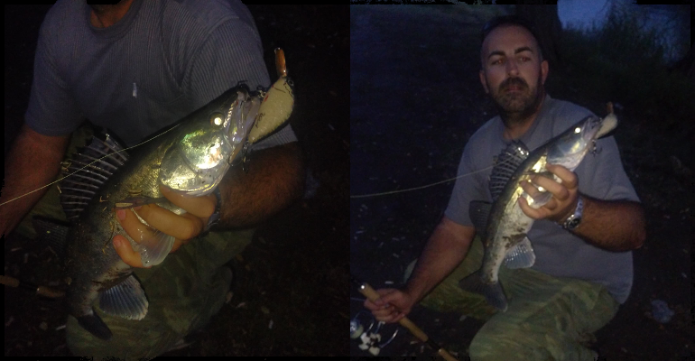 Walleye on a Realwobbler Fat M crankbait