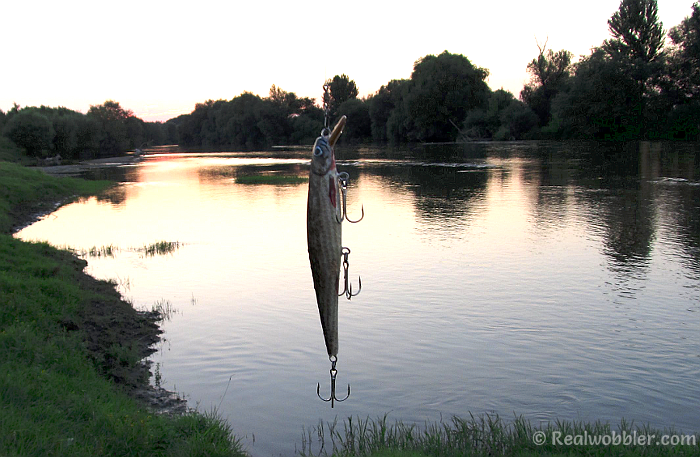 Fishing with a Realwobbler lure at sunset