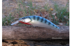 Crankbait Artesanal Retro &quot;Zander Green&quot;