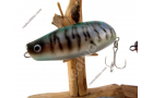 Topwater Belly Lure &quot;Mackerel&quot; S