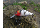 Crankbait Artesanal Retro Fire Cat XS 5