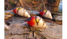 Crankbait Artesanal "Retro Fire Cat Fat XS 5"