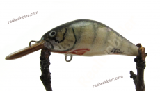 Fat Lure XS with Perch Fish...