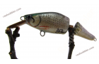 Jointed Lure XS with Common Rudd Skin