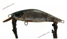 Fat Lure XS with Common Rudd Skin
