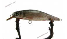 Slim Lure XS with Common Rudd Skin