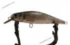 Slim Lure XS with Common Rudd Skin