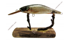 Fat Lure M Size with Common Rudd Skin