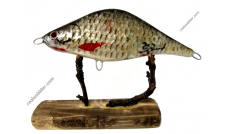 Jerkbait L with Common Rudd Fish Skin