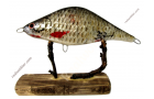 Jerkbait L with Common Rudd Fish Skin