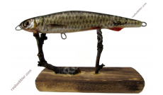 Jerkbait M con Piel de Chondostroma Nasus