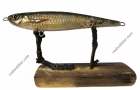 Jerkbait M with Chub Fish Skin