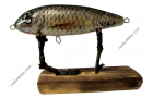 Jerkbait M with Chub Fish Skin