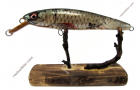 Schlanker Wobbler M mit Rotfeder-Fischhaut