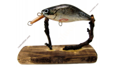 Dicker Wobbler XS mit Rotfeder-Fischhaut