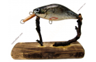 Dicker Wobbler XS mit Rotfeder-Fischhaut