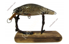 Dicker Wobbler S mit Rotfeder-Fischhaut