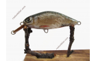 Dicker Wobbler XS mit Rotfeder-Fischhaut