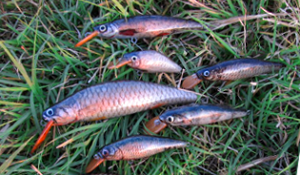 Señuelos Artesanales de Madera con Piel de Pescado- Eficaces,Duraderos